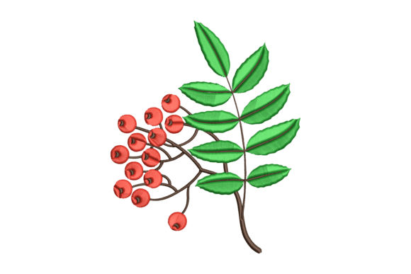 The Plant Embroidery Design: A Designer’s Honest Review