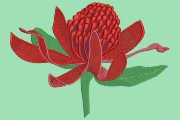 Waratah Review: A Holiday Embroidery Staple